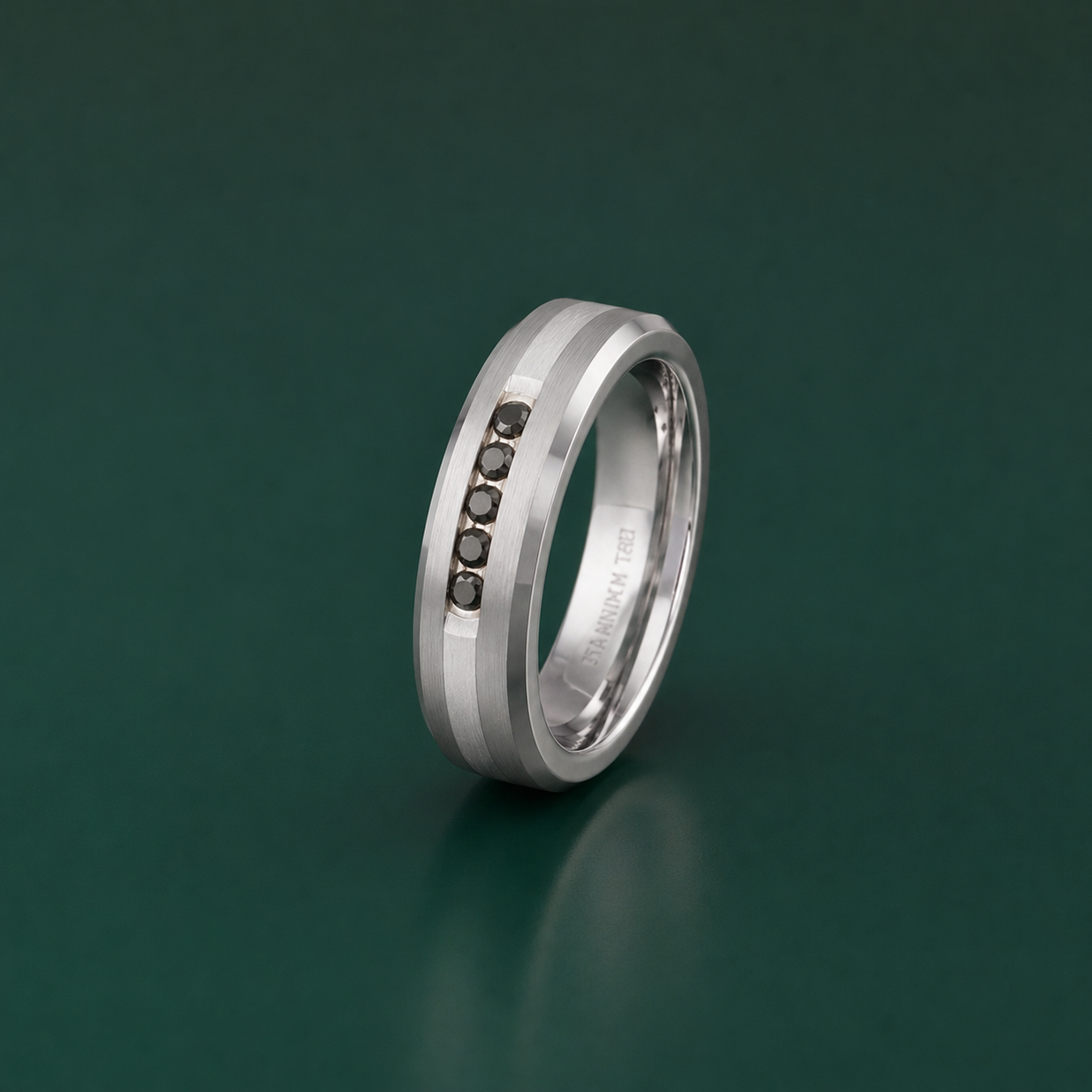 Titanium and Silver Inlay 0.15ct Black Diamond 7mm Ring